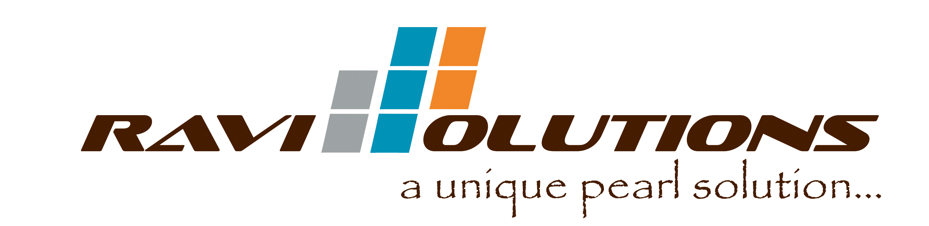 Billing-Software Ravi Solutions