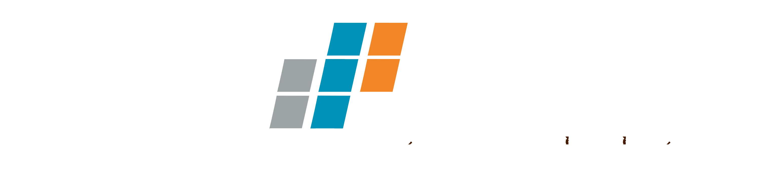 Billing-Software Ravi Solutions